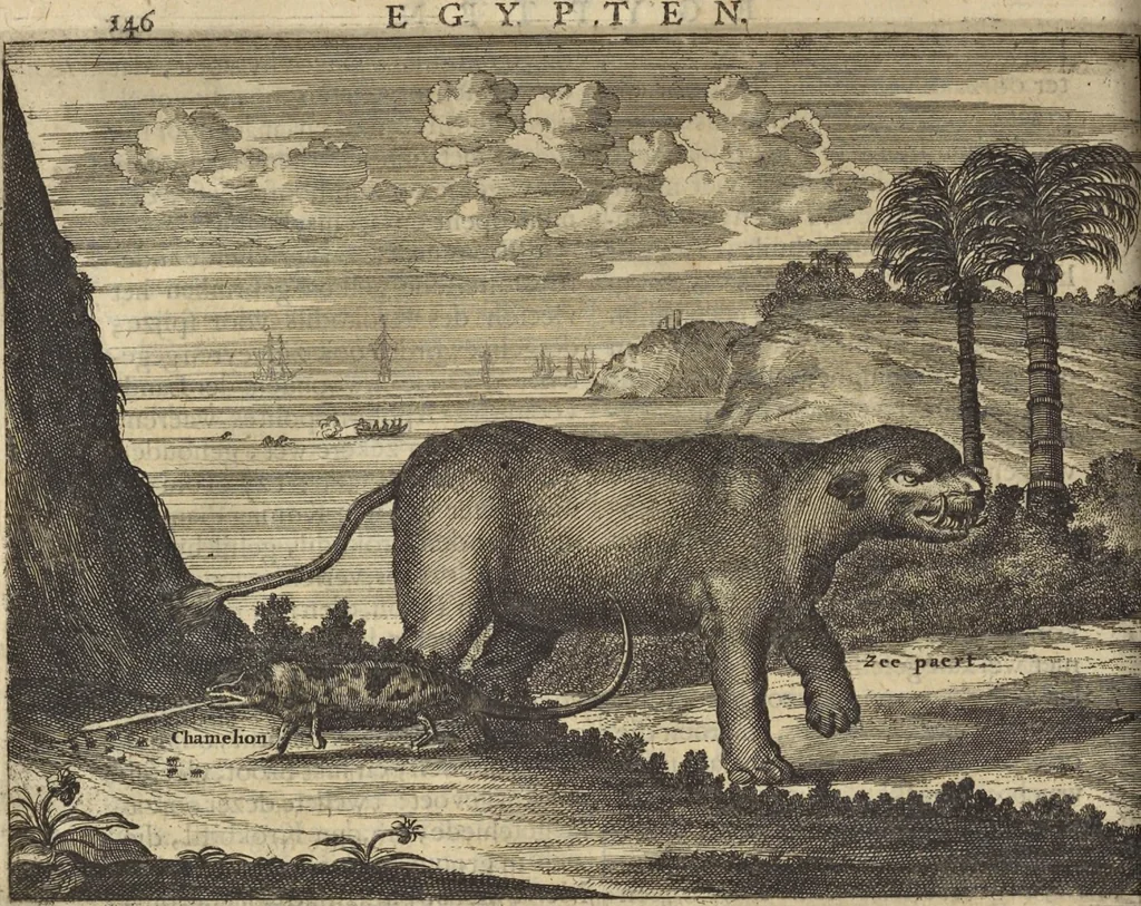 An illustration from Naukeurige beschrijvinge der Afrikaensche gewesten van Egypten, Barbaryen, Libyen, Biledulgerid, Negroslant, Guinea, Ethiopiën, Abyssinie ... : getrokken uit verscheyde hedendaegse lantbeschrijvers en geschriften van bereisde ondersoekers dier landen, 1668, leaf 191