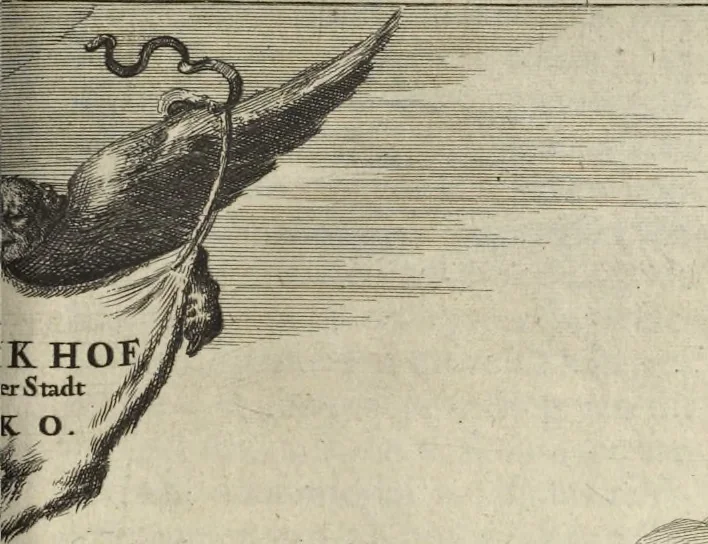 An illustration from Naukeurige beschrijvinge der Afrikaensche gewesten van Egypten, Barbaryen, Libyen, Biledulgerid, Negroslant, Guinea, Ethiopiën, Abyssinie ... : getrokken uit verscheyde hedendaegse lantbeschrijvers en geschriften van bereisde ondersoekers dier landen, 1668, leaf 274