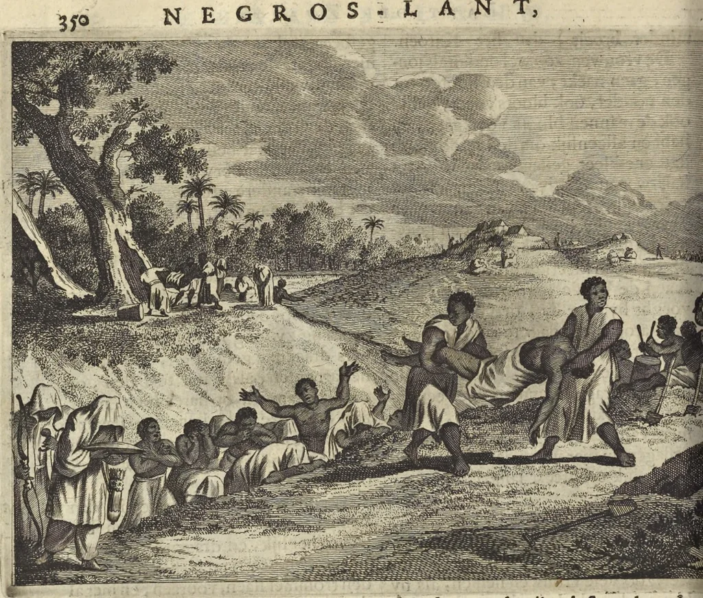 An illustration from Naukeurige beschrijvinge der Afrikaensche gewesten van Egypten, Barbaryen, Libyen, Biledulgerid, Negroslant, Guinea, Ethiopiën, Abyssinie ... : getrokken uit verscheyde hedendaegse lantbeschrijvers en geschriften van bereisde ondersoekers dier landen, 1668, leaf 511