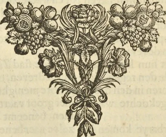 An illustration from Naukeurige beschrijvinge der Afrikaensche gewesten van Egypten, Barbaryen, Libyen, Biledulgerid, Negroslant, Guinea, Ethiopiën, Abyssinie ... : getrokken uit verscheyde hedendaegse lantbeschrijvers en geschriften van bereisde ondersoekers dier landen, 1668, leaf 523