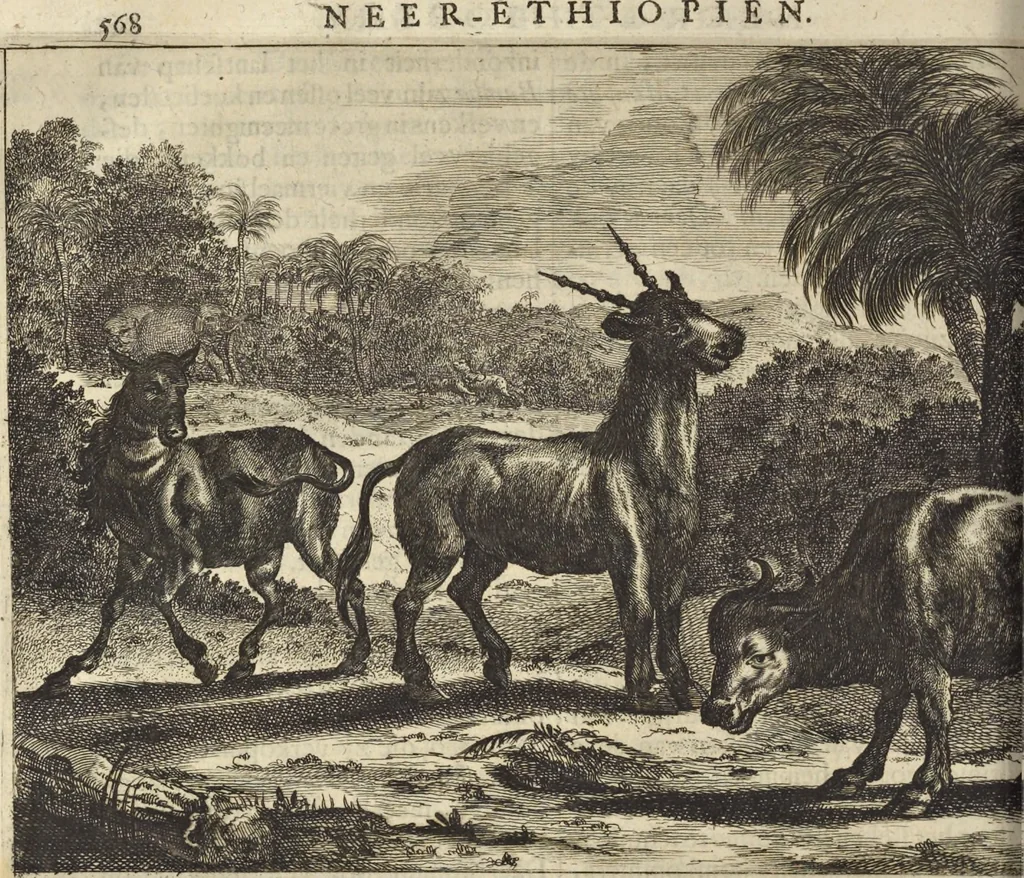 An illustration from Naukeurige beschrijvinge der Afrikaensche gewesten van Egypten, Barbaryen, Libyen, Biledulgerid, Negroslant, Guinea, Ethiopiën, Abyssinie ... : getrokken uit verscheyde hedendaegse lantbeschrijvers en geschriften van bereisde ondersoekers dier landen, 1668, leaf 767
