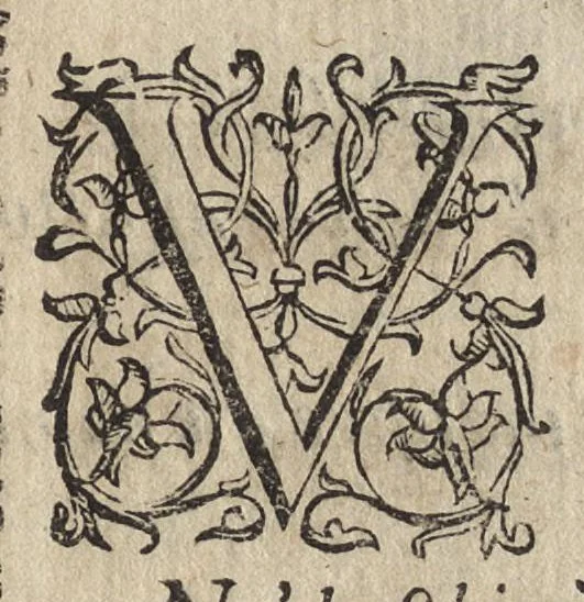An illustration from Le noue muse, 1614, leaf 108