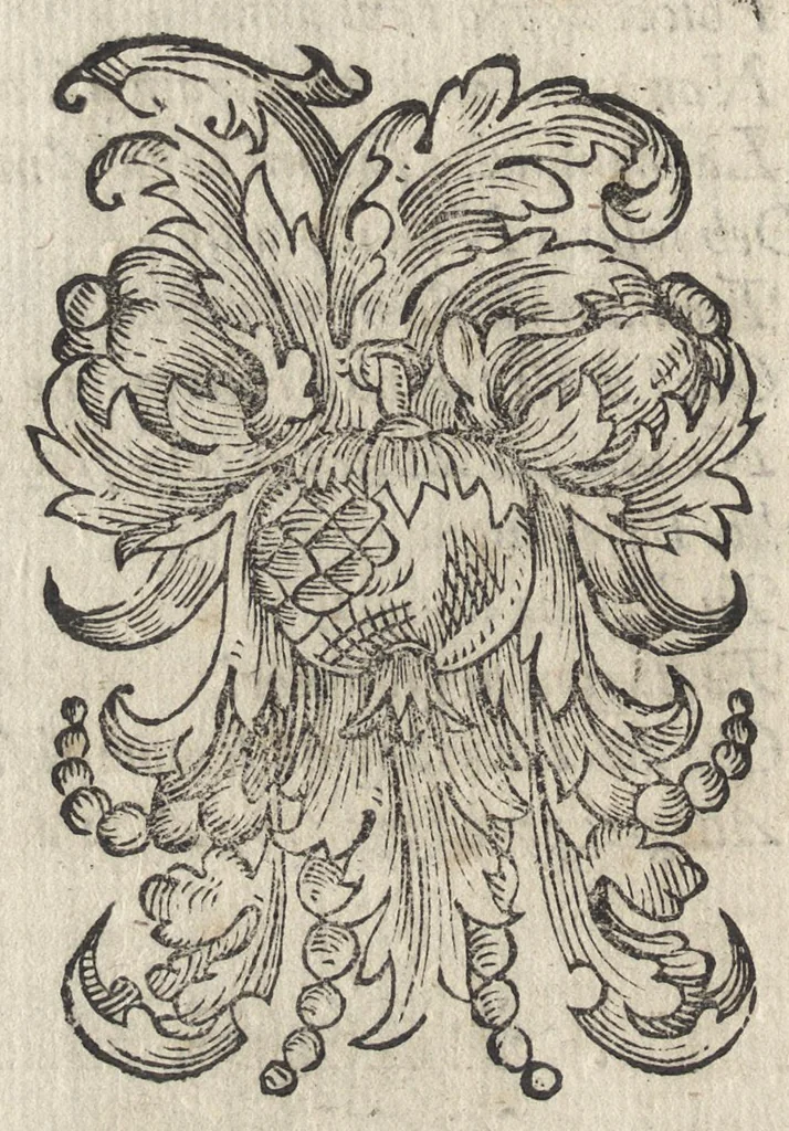 An illustration from Le noue muse, 1614, leaf 149