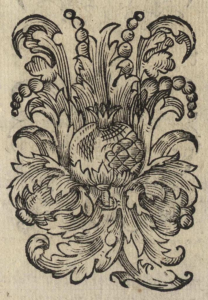 An illustration from Le noue muse, 1614, leaf 256