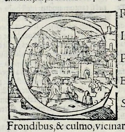 An illustration from Ivnii Ivvenalis Aqvinatis Satyrographi opvs : nunc demvm ab omnibvs mendis purgatum, & pluribus collatis exemplaribus suo candori restitutum, 1548, leaf 115