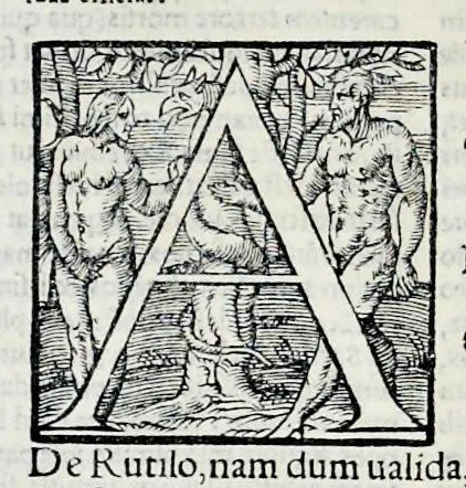 An illustration from Ivnii Ivvenalis Aqvinatis Satyrographi opvs : nunc demvm ab omnibvs mendis purgatum, & pluribus collatis exemplaribus suo candori restitutum, 1548, leaf 237
