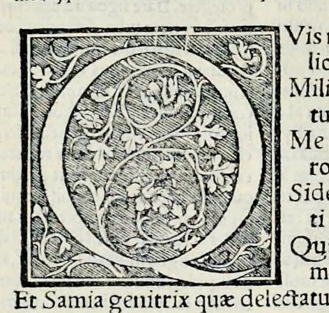 An illustration from Ivnii Ivvenalis Aqvinatis Satyrographi opvs : nunc demvm ab omnibvs mendis purgatum, & pluribus collatis exemplaribus suo candori restitutum, 1548, leaf 297