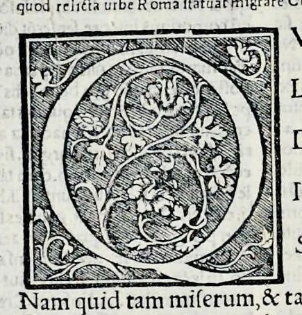 An illustration from Ivnii Ivvenalis Aqvinatis Satyrographi opvs : nunc demvm ab omnibvs mendis purgatum, & pluribus collatis exemplaribus suo candori restitutum, 1548, leaf 65