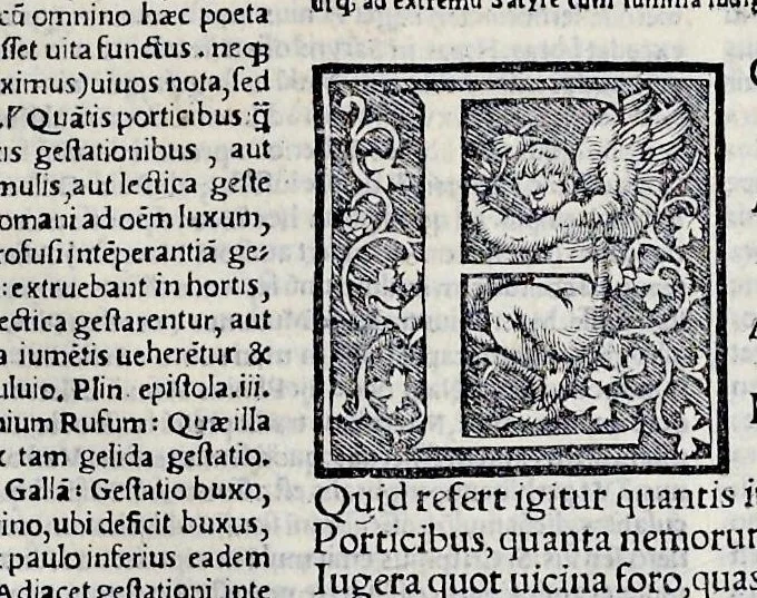 An illustration from Ivnii Ivvenalis Aqvinatis Satyrographi opvs : nunc demvm ab omnibvs mendis purgatum, & pluribus collatis exemplaribus suo candori restitutum, 1548, leaf 90