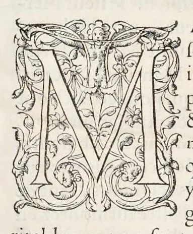 An illustration from Le premier tome de l'architectvre, 1567, leaf 6