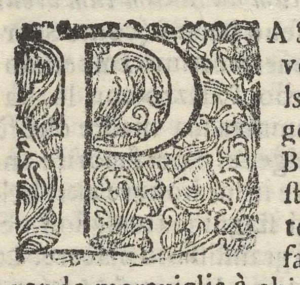 An illustration from Sito et antichita della citta di Pozzuolo : e del suo amenissimo distretto, con la descrittione di tutti i luoghi notabili e degni di memoria, e di Cuma, e di Baia, e di Miseno, e degli altri luoghi conuicini : con le figure de gli edificij, e con gli epitafi che vi sono, 1606, leaf 157