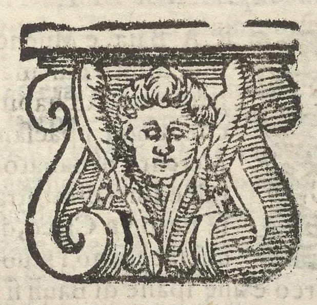 An illustration from Sito et antichita della citta di Pozzuolo : e del suo amenissimo distretto, con la descrittione di tutti i luoghi notabili e degni di memoria, e di Cuma, e di Baia, e di Miseno, e degli altri luoghi conuicini : con le figure de gli edificij, e con gli epitafi che vi sono, 1606, leaf 166