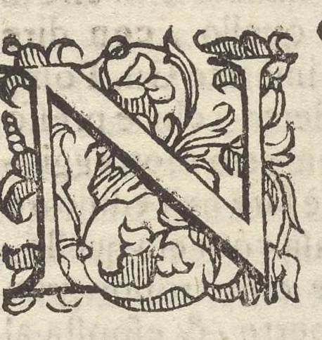 An illustration from Sito et antichita della citta di Pozzuolo : e del suo amenissimo distretto, con la descrittione di tutti i luoghi notabili e degni di memoria, e di Cuma, e di Baia, e di Miseno, e degli altri luoghi conuicini : con le figure de gli edificij, e con gli epitafi che vi sono, 1606, leaf 170