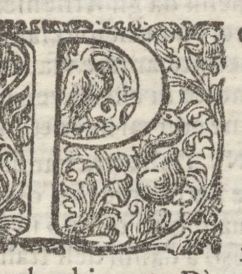 An illustration from Sito et antichita della citta di Pozzuolo : e del suo amenissimo distretto, con la descrittione di tutti i luoghi notabili e degni di memoria, e di Cuma, e di Baia, e di Miseno, e degli altri luoghi conuicini : con le figure de gli edificij, e con gli epitafi che vi sono, 1606, leaf 18