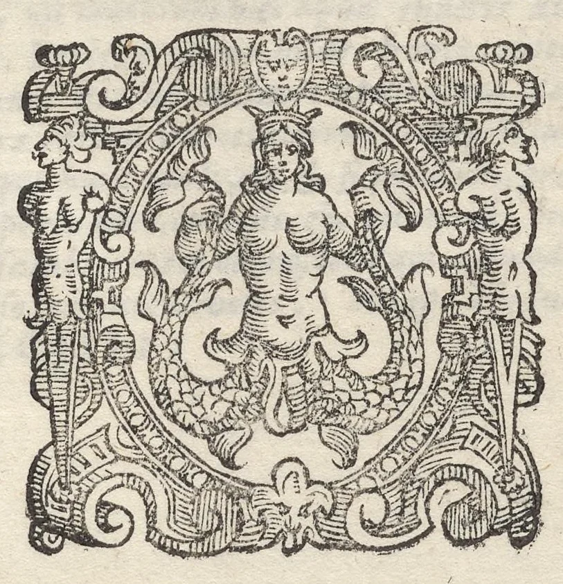 An illustration from Sito et antichita della citta di Pozzuolo : e del suo amenissimo distretto, con la descrittione di tutti i luoghi notabili e degni di memoria, e di Cuma, e di Baia, e di Miseno, e degli altri luoghi conuicini : con le figure de gli edificij, e con gli epitafi che vi sono, 1606, leaf 234