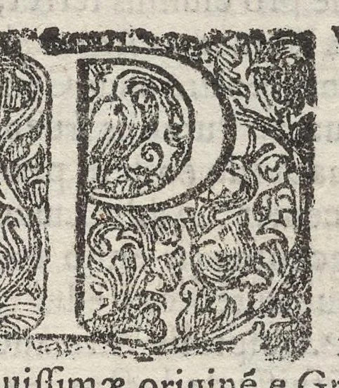 An illustration from Sito et antichita della citta di Pozzuolo : e del suo amenissimo distretto, con la descrittione di tutti i luoghi notabili e degni di memoria, e di Cuma, e di Baia, e di Miseno, e degli altri luoghi conuicini : con le figure de gli edificij, e con gli epitafi che vi sono, 1606, leaf 238