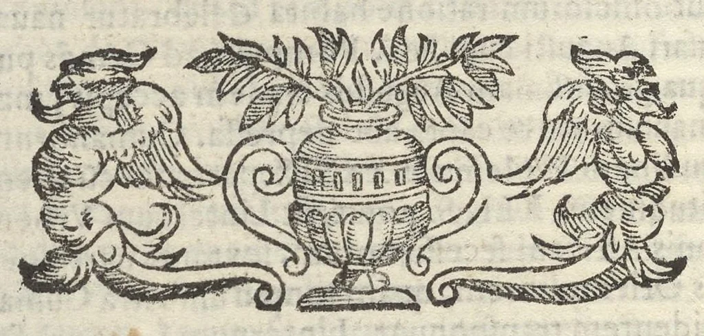 An illustration from Sito et antichita della citta di Pozzuolo : e del suo amenissimo distretto, con la descrittione di tutti i luoghi notabili e degni di memoria, e di Cuma, e di Baia, e di Miseno, e degli altri luoghi conuicini : con le figure de gli edificij, e con gli epitafi che vi sono, 1606, leaf 249