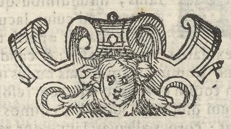 An illustration from Sito et antichita della citta di Pozzuolo : e del suo amenissimo distretto, con la descrittione di tutti i luoghi notabili e degni di memoria, e di Cuma, e di Baia, e di Miseno, e degli altri luoghi conuicini : con le figure de gli edificij, e con gli epitafi che vi sono, 1606, leaf 254