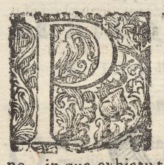An illustration from Sito et antichita della citta di Pozzuolo : e del suo amenissimo distretto, con la descrittione di tutti i luoghi notabili e degni di memoria, e di Cuma, e di Baia, e di Miseno, e degli altri luoghi conuicini : con le figure de gli edificij, e con gli epitafi che vi sono, 1606, leaf 255