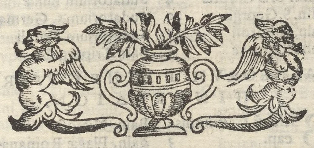 An illustration from Sito et antichita della citta di Pozzuolo : e del suo amenissimo distretto, con la descrittione di tutti i luoghi notabili e degni di memoria, e di Cuma, e di Baia, e di Miseno, e degli altri luoghi conuicini : con le figure de gli edificij, e con gli epitafi che vi sono, 1606, leaf 300