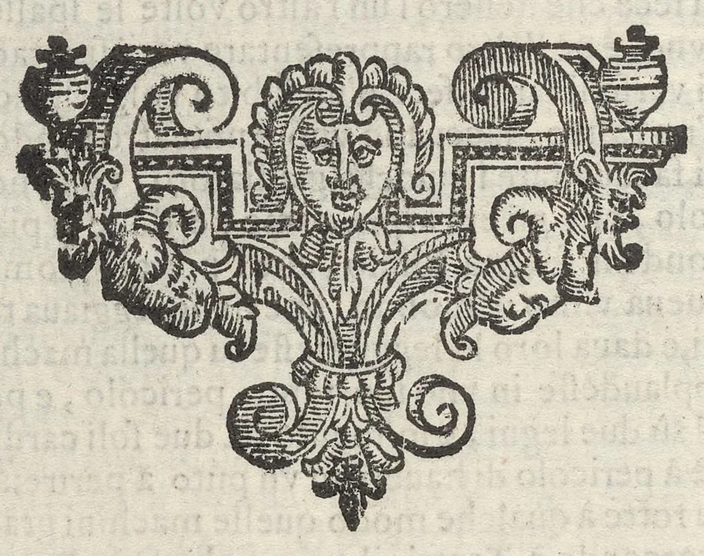 An illustration from Sito et antichita della citta di Pozzuolo : e del suo amenissimo distretto, con la descrittione di tutti i luoghi notabili e degni di memoria, e di Cuma, e di Baia, e di Miseno, e degli altri luoghi conuicini : con le figure de gli edificij, e con gli epitafi che vi sono, 1606, leaf 53