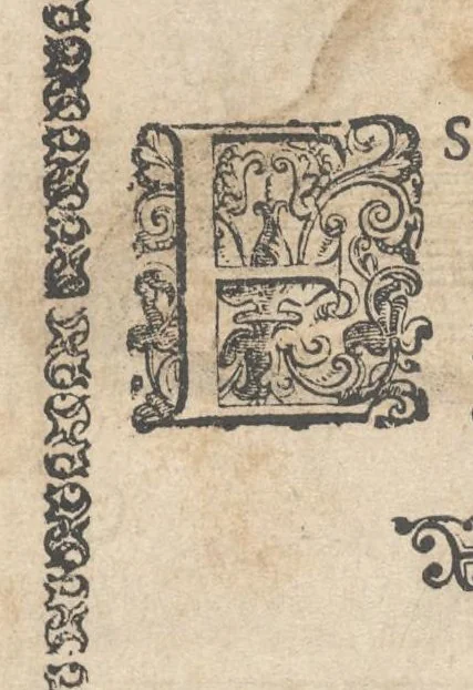 An illustration from Gran simulacro dell'arte e dell'uso della scherma, 1610, leaf 109