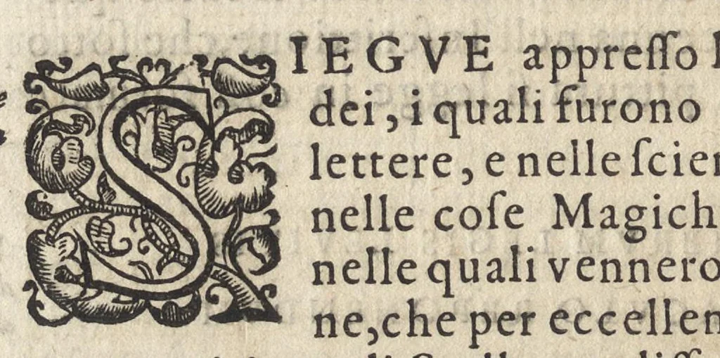 An illustration from Vago, e diletteuole giardino di varie lettioni, 1608, leaf 221