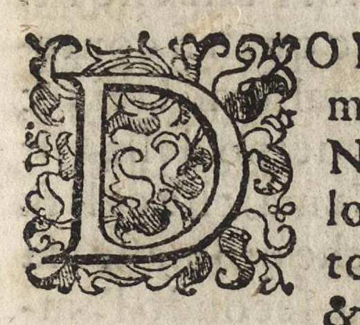 An illustration from Vago, e diletteuole giardino di varie lettioni, 1608, leaf 240