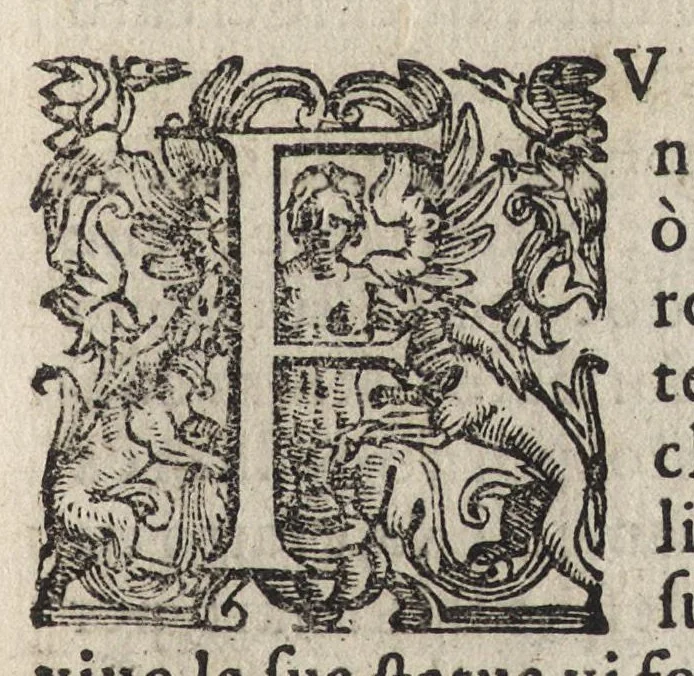 An illustration from Vago, e diletteuole giardino di varie lettioni, 1608, leaf 256