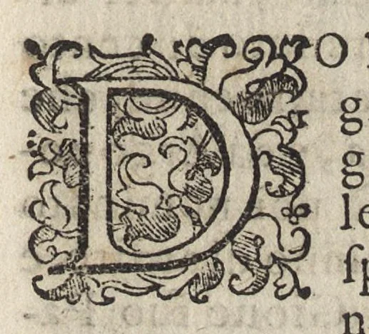 An illustration from Vago, e diletteuole giardino di varie lettioni, 1608, leaf 278