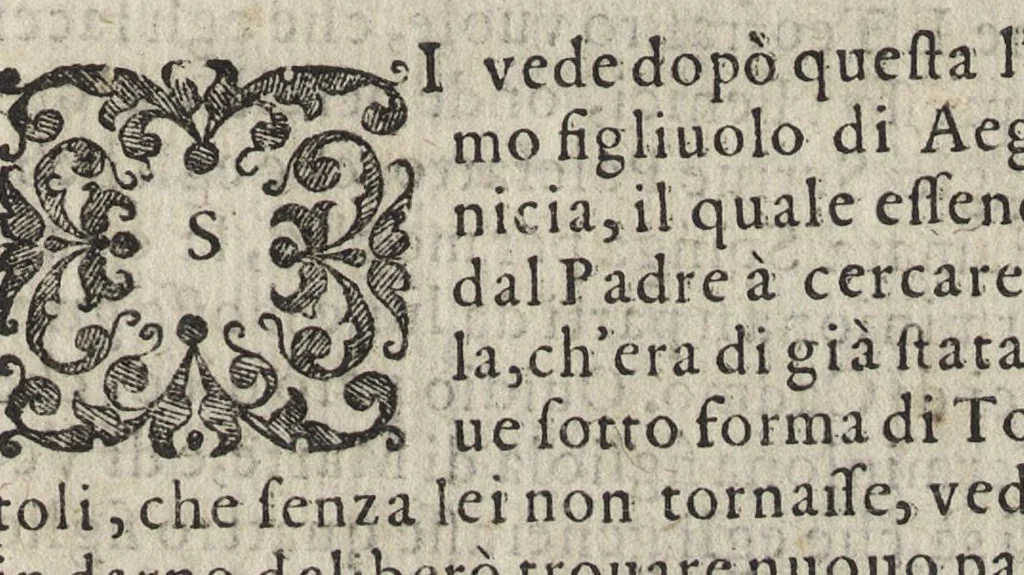 An illustration from Vago, e diletteuole giardino di varie lettioni, 1608, leaf 284