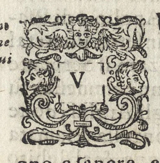 An illustration from Vago, e diletteuole giardino di varie lettioni, 1608, leaf 289