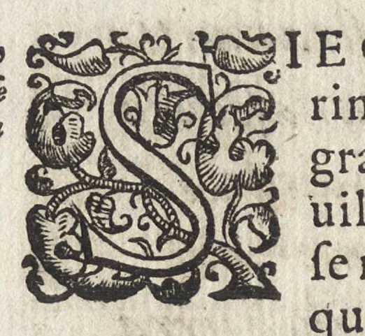 An illustration from Vago, e diletteuole giardino di varie lettioni, 1608, leaf 307