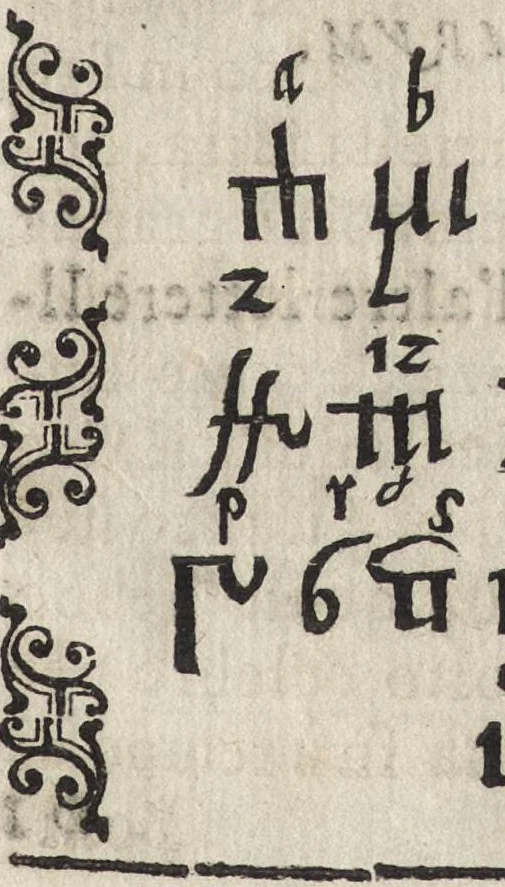 An illustration from Vago, e diletteuole giardino di varie lettioni, 1608, leaf 316