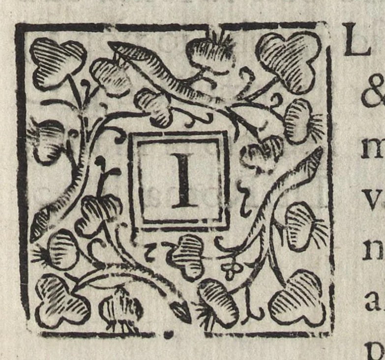 An illustration from Vago, e diletteuole giardino di varie lettioni, 1608, leaf 6