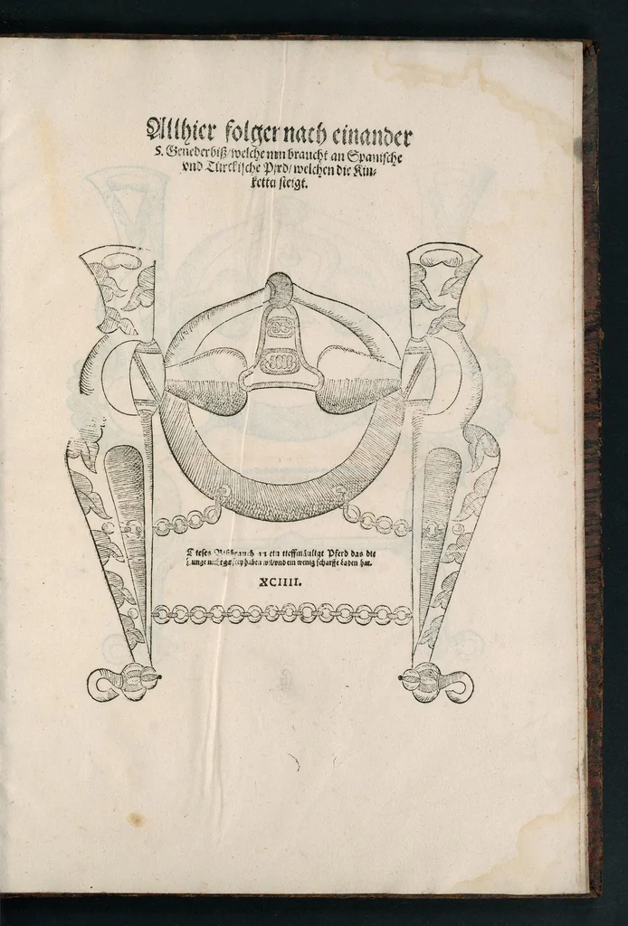 An illustration from Ein ritterlich vnd adelich Kunstbuch : darinnen von Reiten, Zeümen, auch RossArtzney, item allerley Stangen, Kinnketten, geschlossenen und offenen Mundstücken, sampt jedes Wirckungen, vnterschiedlicher vnd aussführlicher Bericht begriffen, dergleichen zuvor niemahls aussgangen ; allen Liebhabern dieser ritterlichen vnd adelichen Kunst zu Gefallen verfertiget vnnd in Druck gegeben, 1615, leaf 200