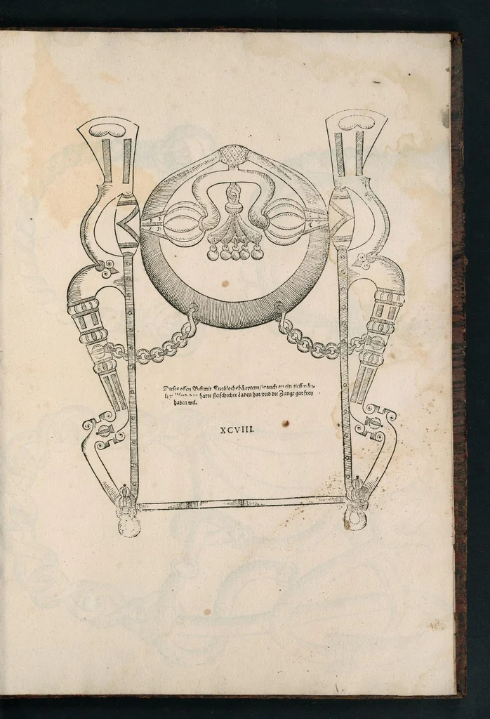 An illustration from Ein ritterlich vnd adelich Kunstbuch : darinnen von Reiten, Zeümen, auch RossArtzney, item allerley Stangen, Kinnketten, geschlossenen und offenen Mundstücken, sampt jedes Wirckungen, vnterschiedlicher vnd aussführlicher Bericht begriffen, dergleichen zuvor niemahls aussgangen ; allen Liebhabern dieser ritterlichen vnd adelichen Kunst zu Gefallen verfertiget vnnd in Druck gegeben, 1615, leaf 208