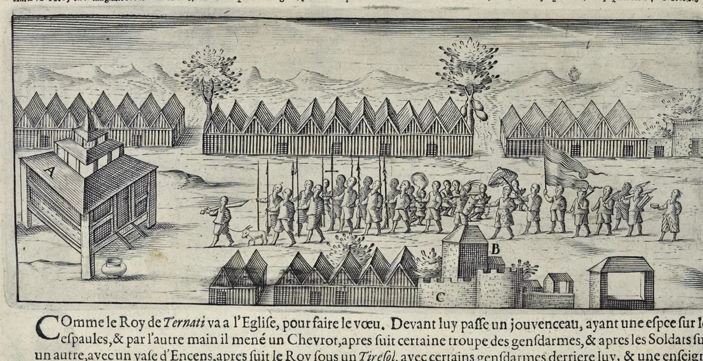 An illustration from Le second livre, journal ou comptoir, contenant le vray discours et narration historique, du voyage fait par les huit navires d'Amsterdam, au mois de mars l'an 1598, sous la conduite de l'admiral Iaques Cornille Nec, & du vice-admiral VVibrant de VVarvvic : de leur voyage & choses plus memorables eux audit voyage survenuës, de leur riche charge & sain retour ... : orné avec beaucoup de lames d'arain & cartes, joint leurs explications : aussi est icy adiousté un vocabulaire des mots françois, javans & malaites, 1609, leaf 43