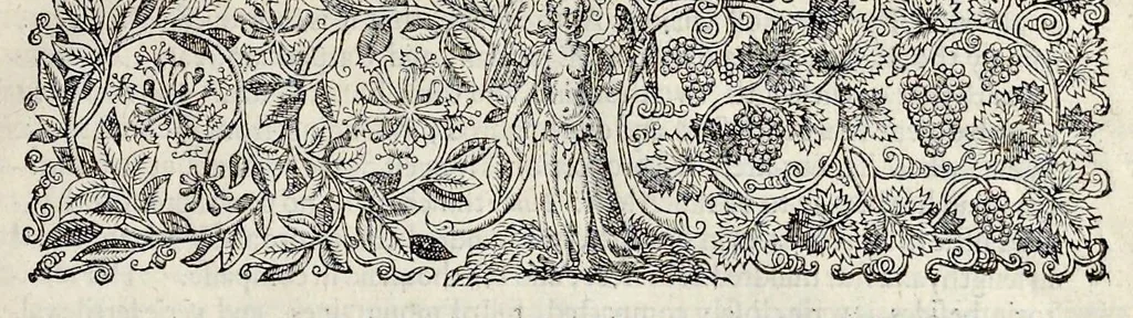 An illustration from The generall historie of the magnificent state of Venice. From the first foundation thereof vntill this present, 1612, leaf 142