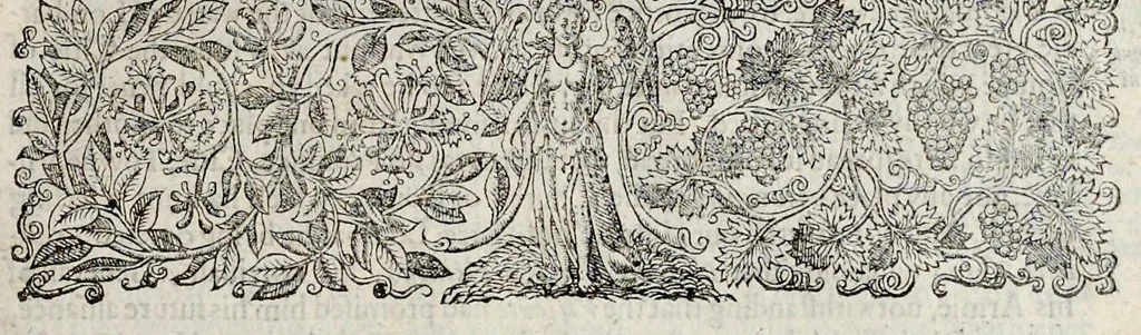 An illustration from The generall historie of the magnificent state of Venice. From the first foundation thereof vntill this present, 1612, leaf 350