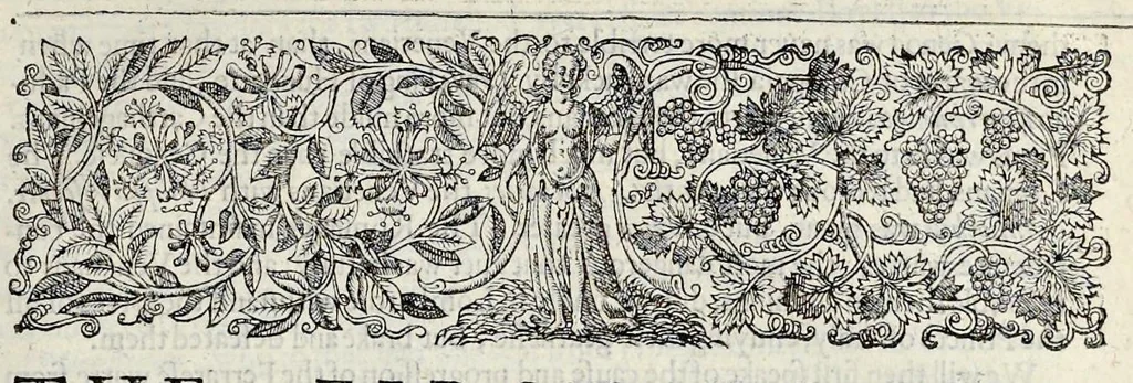 An illustration from The generall historie of the magnificent state of Venice. From the first foundation thereof vntill this present, 1612, leaf 494