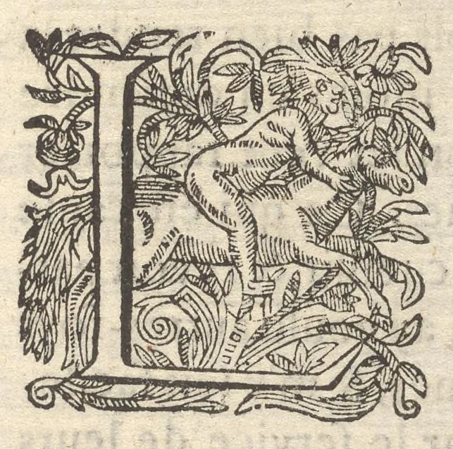 An illustration from Discours ou traicté des devises. Ou est mise la raison et différence des emblèmes, enigmes, sentences & autres, 1620, leaf 2