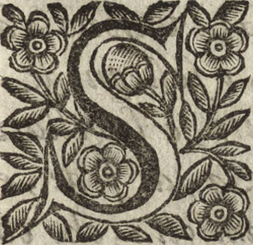 An illustration from Gli eroi dell'Insubria, ouero, Le celesti merauiglie del gran santuario & insigne monastero di Meda nella vita de santi Aimo e Vermondo Corii, nobili milanesi, 1676, leaf 6