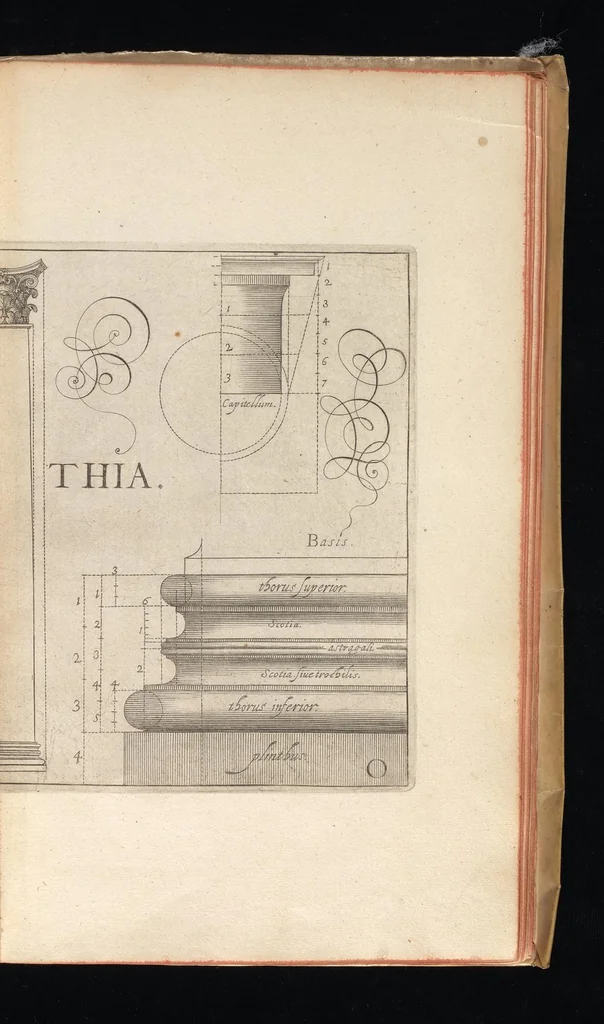 An illustration from L'architecture, contenant la toscane, dorique, ionique, corinthiaque, et composee, 1628, leaf 48