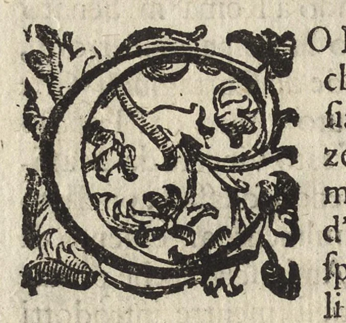An illustration from L'ambasciatore, 1627, leaf 339
