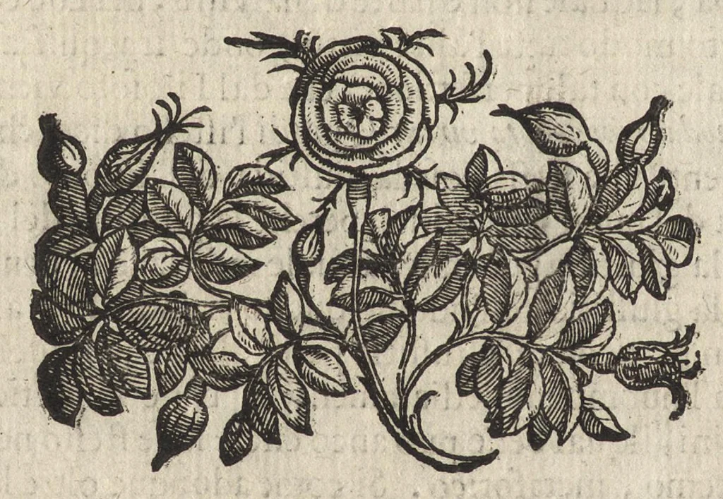 An illustration from L'ambasciatore, 1627, leaf 385