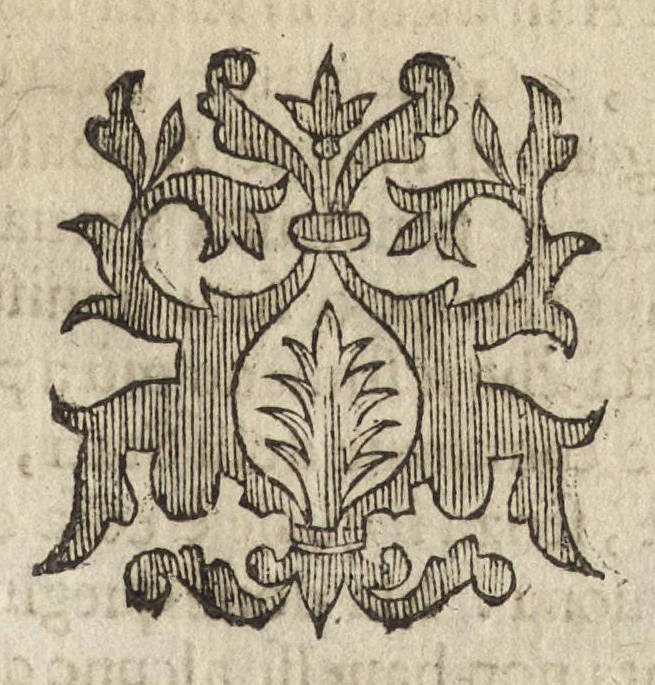 An illustration from L'ambasciatore, 1627, leaf 662