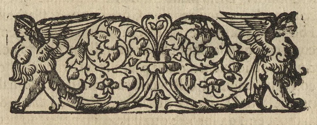 An illustration from L'ambasciatore, 1627, leaf 716