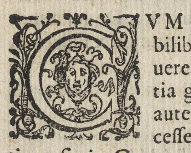 An illustration from De metallicis libri tres, 1596, leaf 97