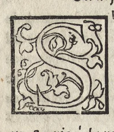 An illustration from Del significato de colori e de mazzolli : operetta, 1545, leaf 42